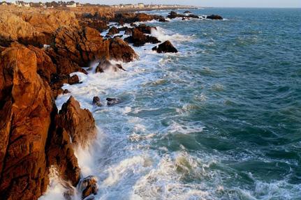 Wild coastline - Presqu'île de Guérande © B.Schoch