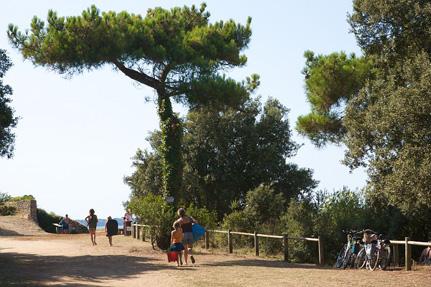 Pierre Attelée forest - St-Brevin-les-Pins © S.Bourcier