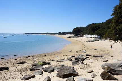 Noirmoutier - Bois de la Chaize beach © V.Joncheray