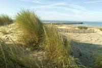 Dunes of Vendée © P.Baudry