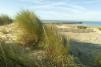 Dunes of Vendée © P.Baudry