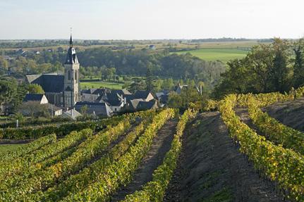 St-Aubin-de-Luigné, in the Layon Valley © D.Drouet