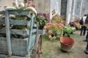 Cours et Jardins Le Mans