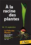 Folie-des-plantes