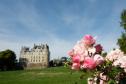 Fashion Flower Festival