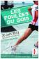 Les Foulées du Gois