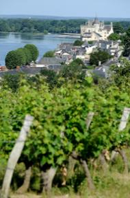 Loire Valley vineyards, Montsoreau © Jean-Sébastien Evrard