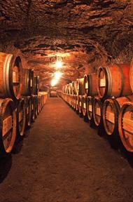 Loire Valley Wines and caves © L.Massillon