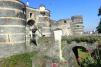 Angers - D. Martins