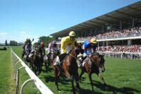 Race in Craon © Hippodrome de Craon