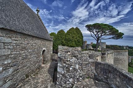 Le Château de Clisson © D.Drouet