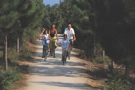Cycling trail along the Vendée Coast © M.Thiery