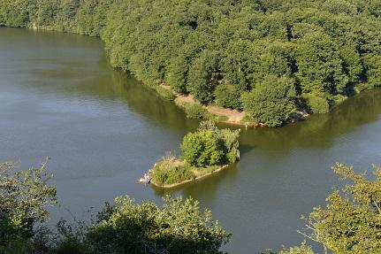 Forêt de Mervent © P. Baudry