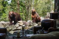 Zoo de la Flèche - Safari Lodge © S. Le Ludec