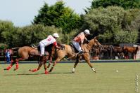 Brittany Polo Club © Clic and Com Brittany Polo Club © Clic and Com