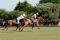 Brittany Polo Club © Clic and Com