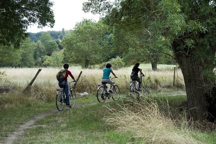 Le Parc Loire-Anjou-Touraine à vélo © S.Bonniol-Visuelles