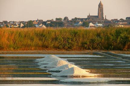 Salt marshes, Batz-sur-Mer © B.Schoch