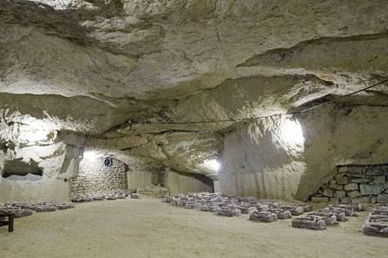 Le Saut aux Loups (mushroom production) © S.Bonniol-Visuelles