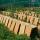 Snail Farm © L'Escargot du Maine - Hugues Millot