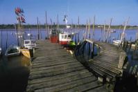 L'Aiguillon-sur-Mer © P.Baudry