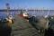 L'Aiguillon-sur-Mer © P.Baudry