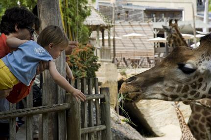 Bioparc, Doué-la-Fontaine © S.Bonniol-Visuelles
