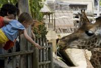 Bioparc, Doué-la-Fontaine © S.Bonniol-Visuelles