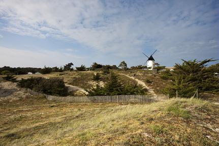 Noirmoutier - La Guérinière © V.Joncheray