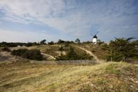 Noirmoutier - La Guérinière © V.Joncheray