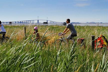 The Loire estuary © S-TV