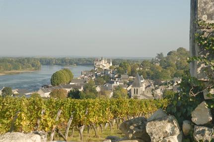 The Loire Valley at Montsoreau © J.P Klein