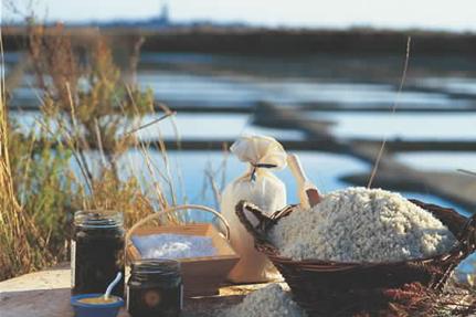 Salt marshes © B.Rivière