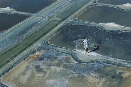 Salt marshes of Guérande © V.Sarazin