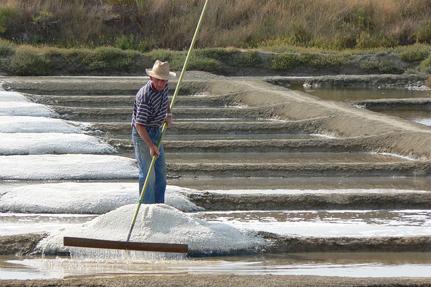 Salt marshes of Guérande © B.Schoch