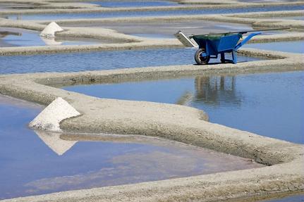Salt marshes of Guérande © Virdg-Fotolia.com