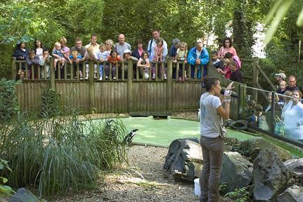 Zoo, Les Sables-d'Olonne © Paul-Eric Moy