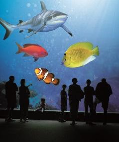 Vendée Tourisme
