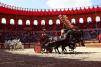 Le Grand Parc © Puy du Fou