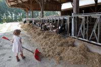 Accueil Paysan © Christine Lhôte